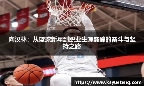 陶汉林：从篮球新星到职业生涯巅峰的奋斗与坚持之路