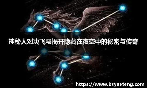 神秘人对决飞马揭开隐藏在夜空中的秘密与传奇