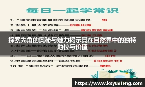 九游娱乐Nineame